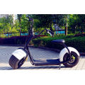 2016 Hot Sale City Coco Scooter électrique (JY-ES005)